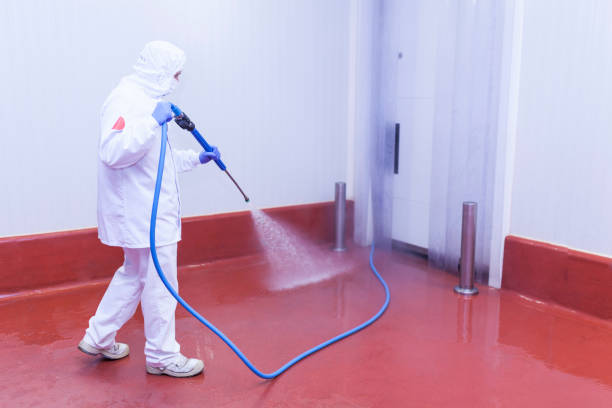 Best Boat and Dock Cleaning  in Perry, UT